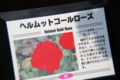20130516095746