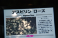 20130516095930