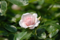 20130516095934