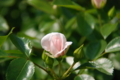 20130516095937