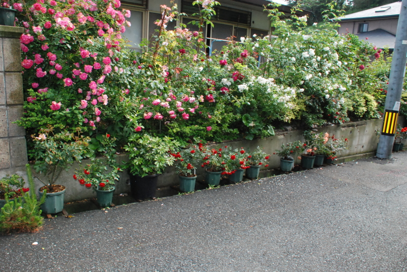f:id:rotling:20130520084039j:image