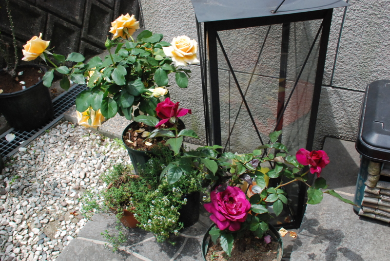f:id:rotling:20130526112637j:image
