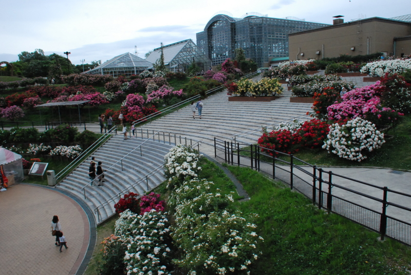 f:id:rotling:20130527150708j:image