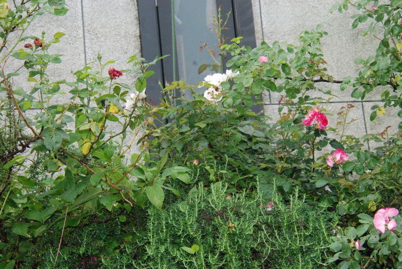 f:id:rotling:20130528133659j:image