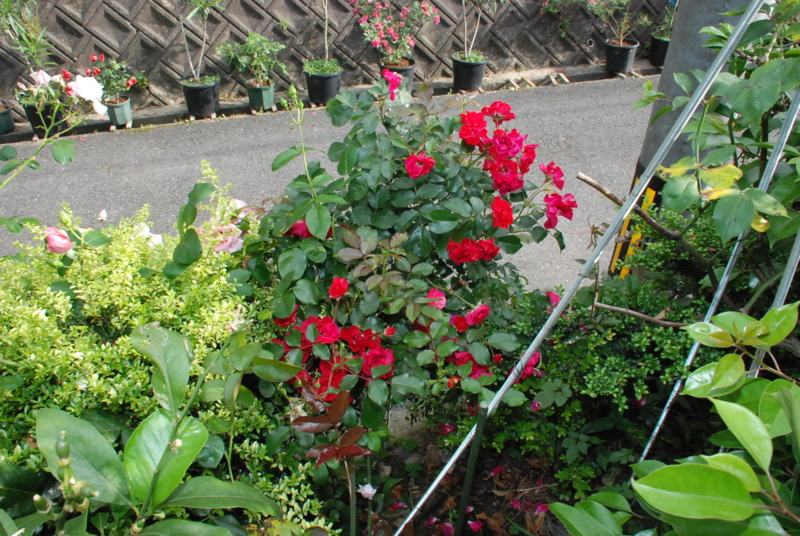 f:id:rotling:20130530164446j:image