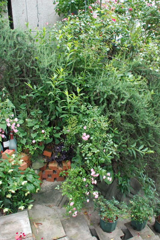 f:id:rotling:20130531150136j:image
