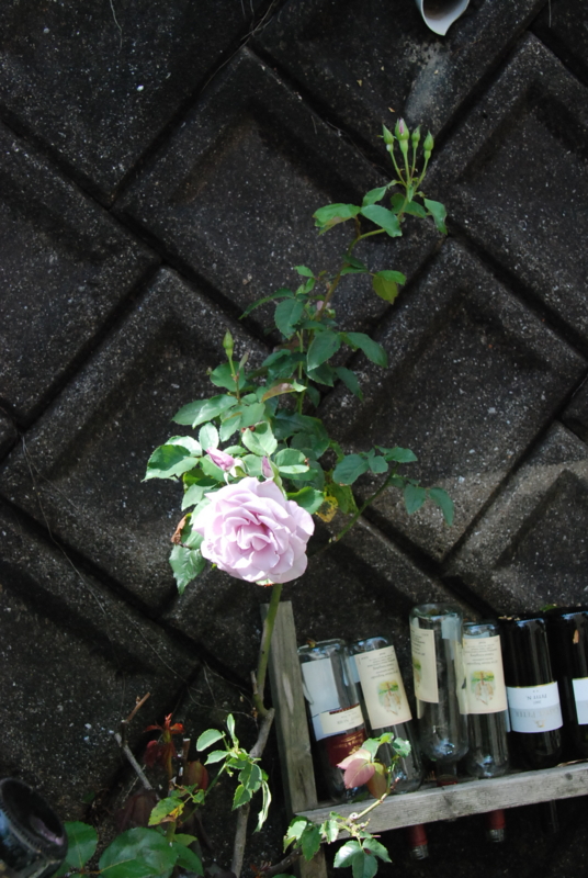 f:id:rotling:20130610093701j:image