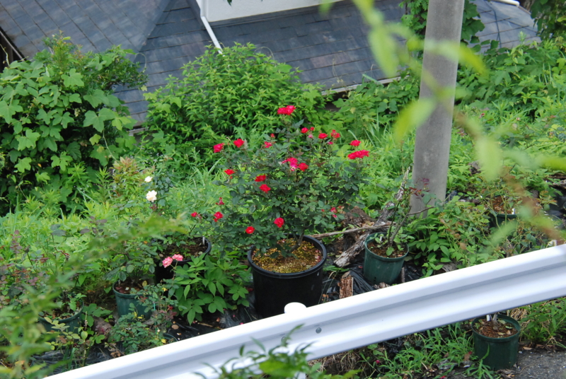 f:id:rotling:20130630105723j:image