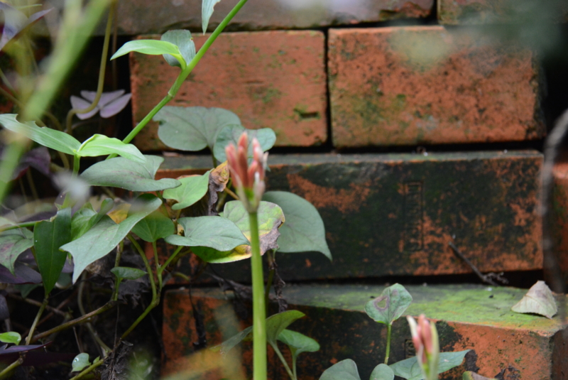 f:id:rotling:20130909082333j:image