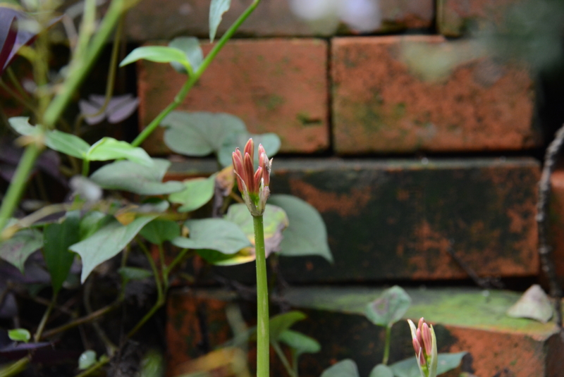 f:id:rotling:20130909082335j:image