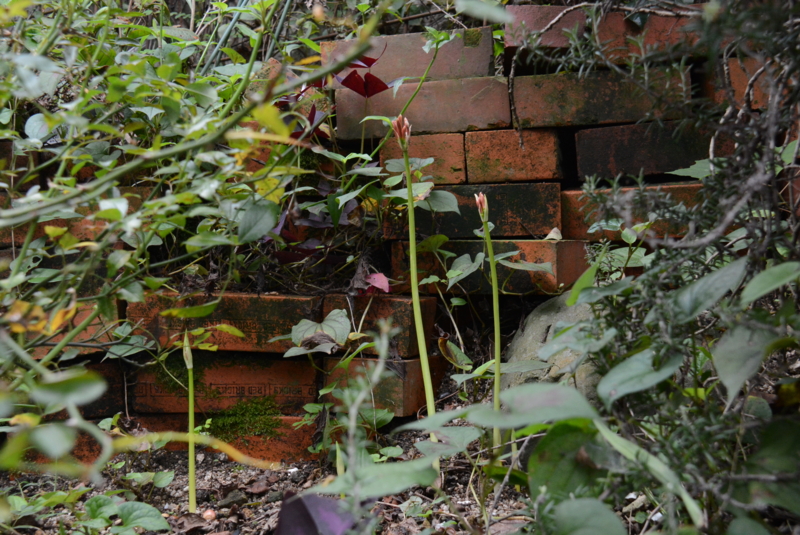 f:id:rotling:20130909082408j:image