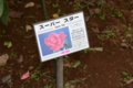 [京成バラ園][秋][2013][10月中旬]