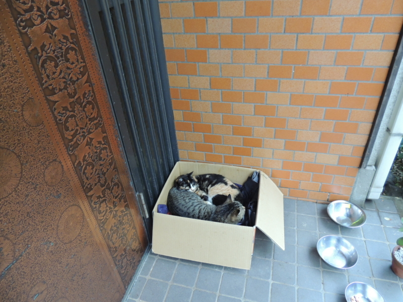 f:id:rotling:20140330150236j:image