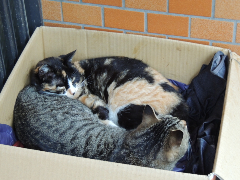 f:id:rotling:20140330150241j:image