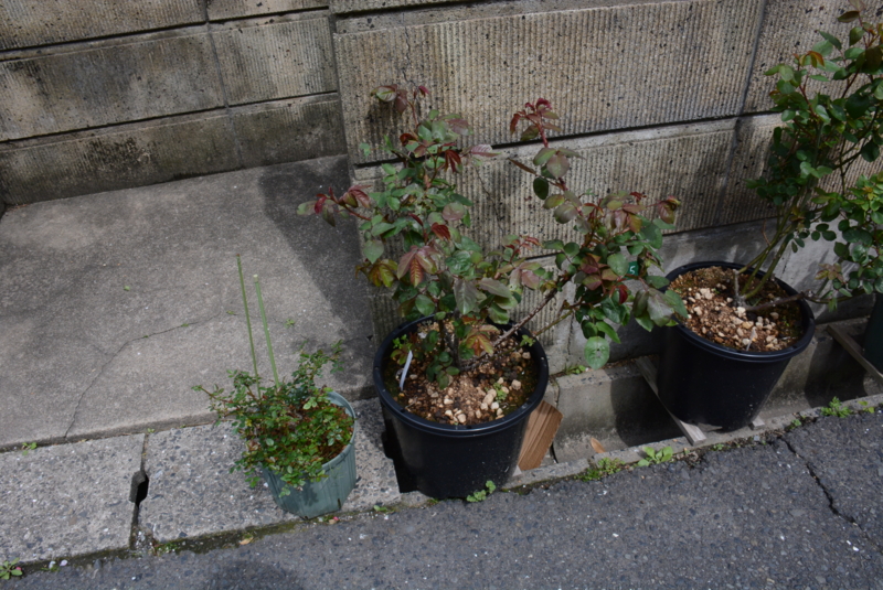 f:id:rotling:20140407112001j:image