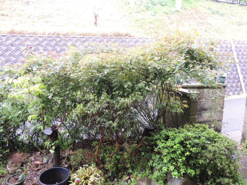 f:id:rotling:20140413150321j:image