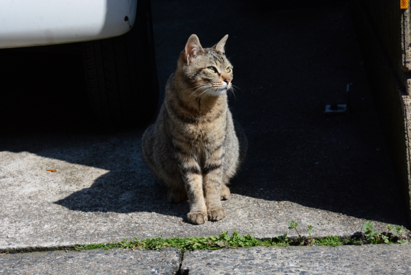 f:id:rotling:20140414092015j:image