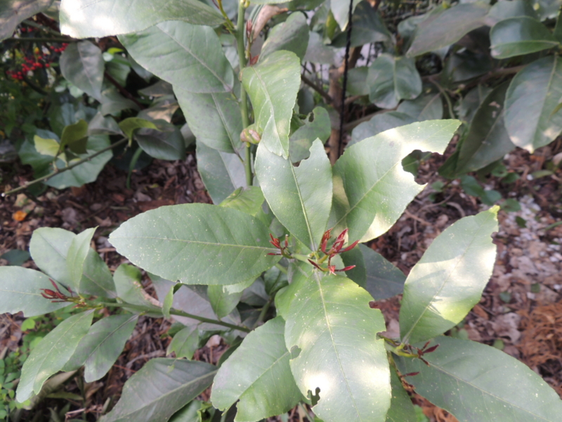 f:id:rotling:20140415080945j:image