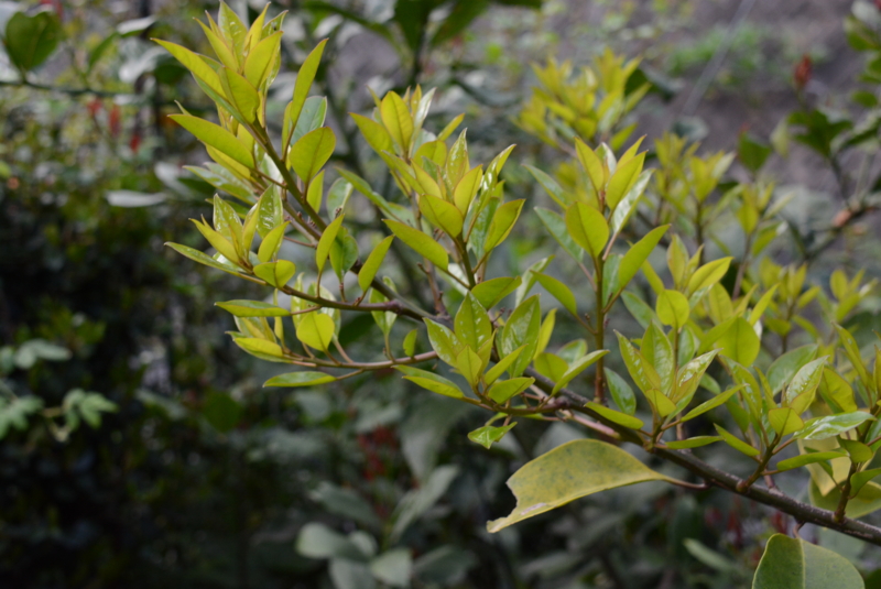 f:id:rotling:20140423062419j:image