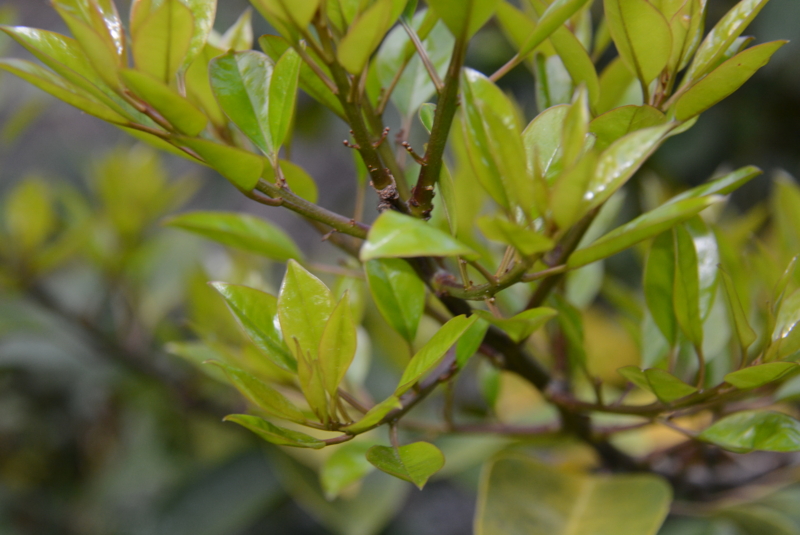 f:id:rotling:20140423062435j:image