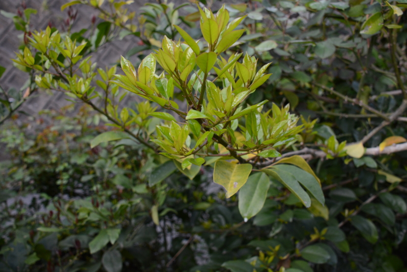 f:id:rotling:20140423062437j:image