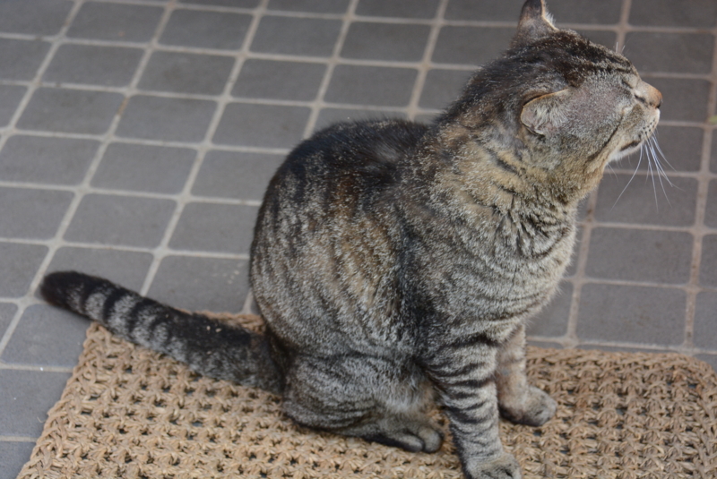 f:id:rotling:20140423074031j:image