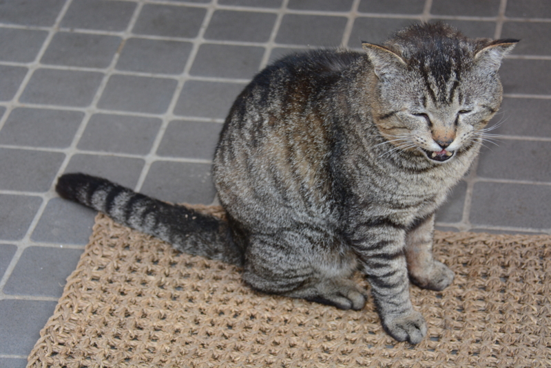 f:id:rotling:20140423074035j:image