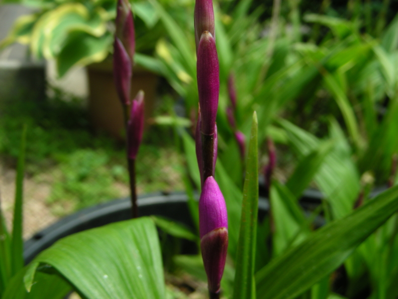 f:id:rotling:20140426123558j:image f:id:rotling:20140426123558j:image