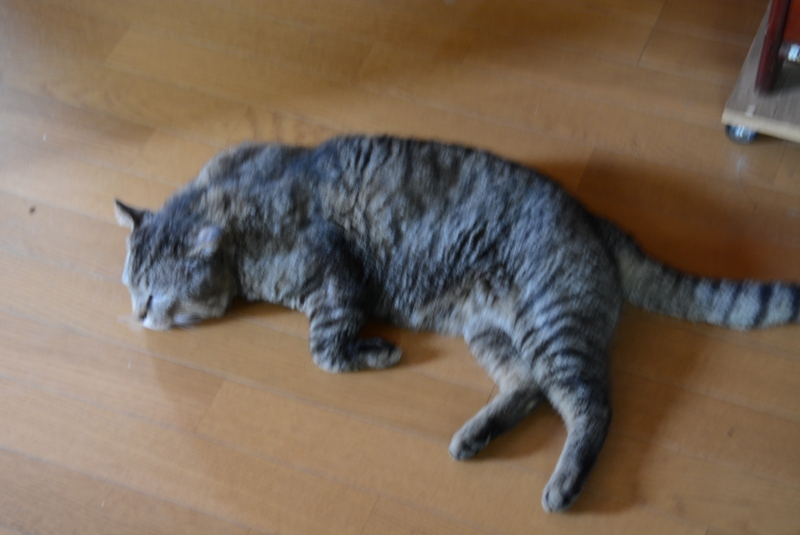 f:id:rotling:20140426135458j:image