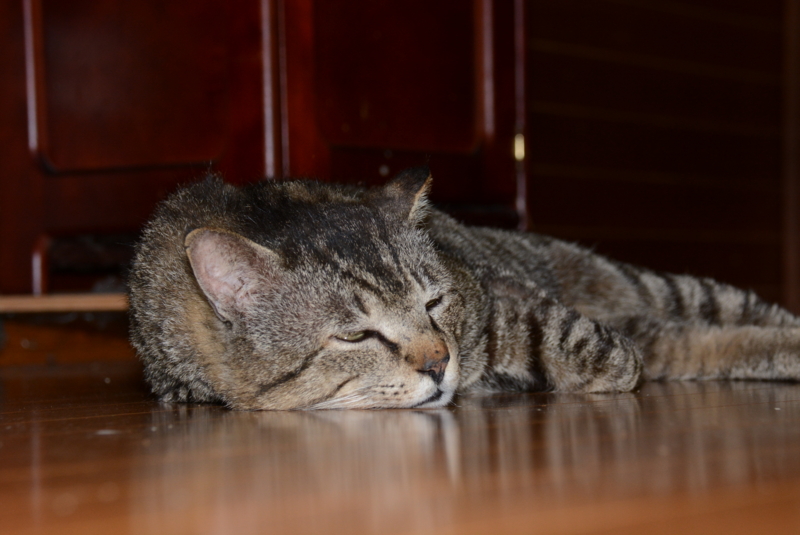 f:id:rotling:20140426135523j:image