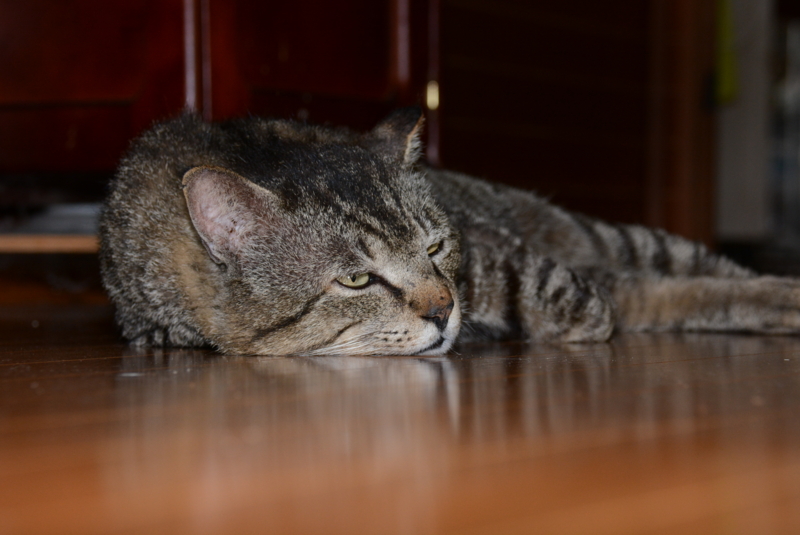 f:id:rotling:20140426135532j:image