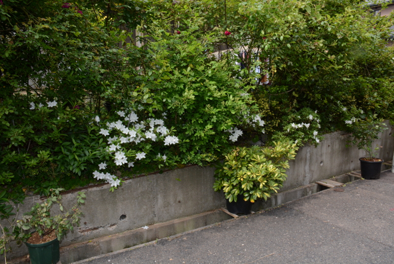 f:id:rotling:20140427145745j:image