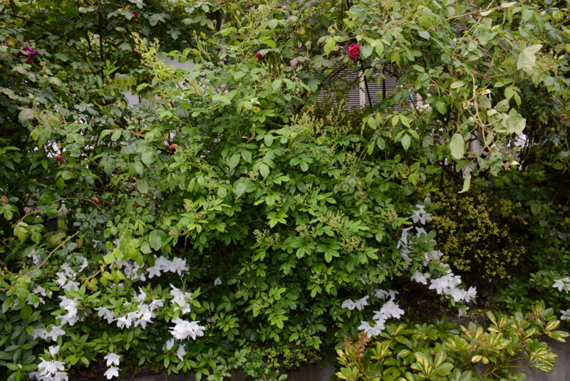 f:id:rotling:20140429080242j:image