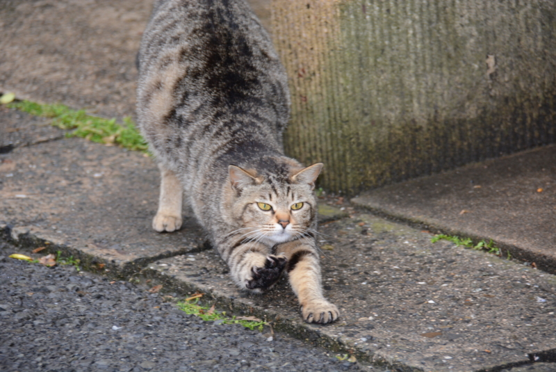 f:id:rotling:20140429080257j:image