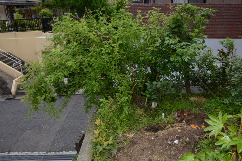 f:id:rotling:20140430082131j:image