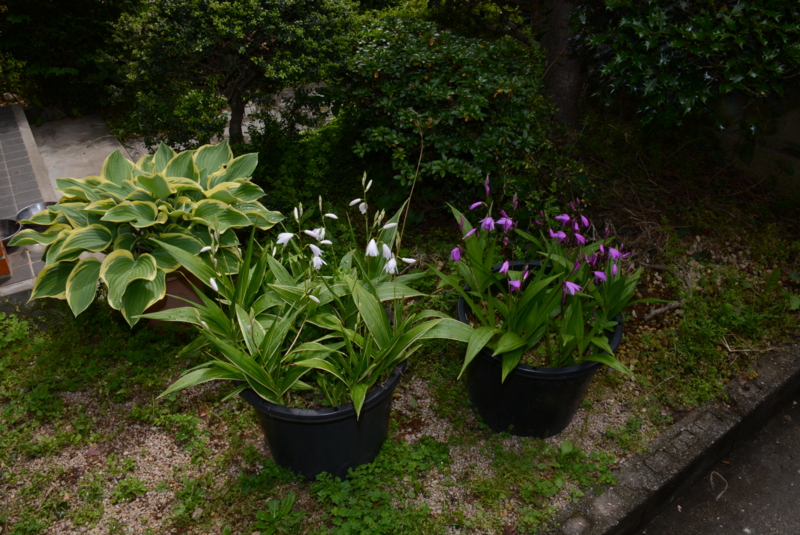 20140505104720