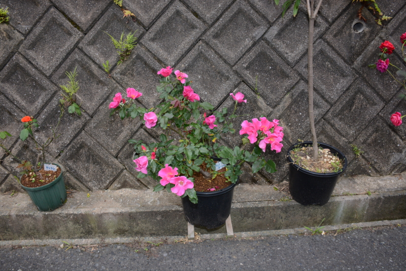 f:id:rotling:20140514092553j:image