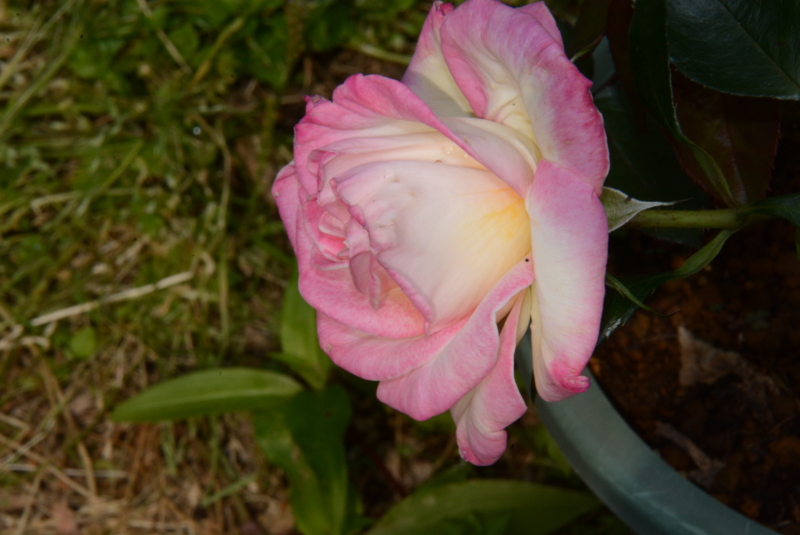 f:id:rotling:20140522091552j:image