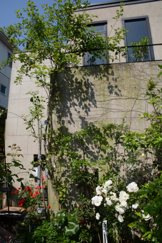 f:id:rotling:20140523091845j:image