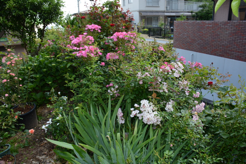 f:id:rotling:20140524072345j:image