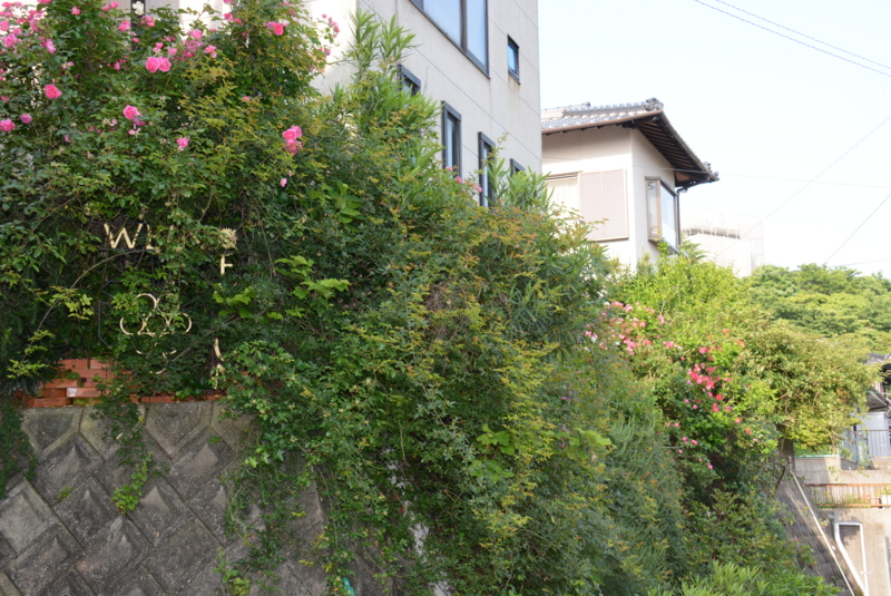 f:id:rotling:20140524073651j:image