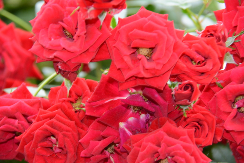 f:id:rotling:20140527063036j:image