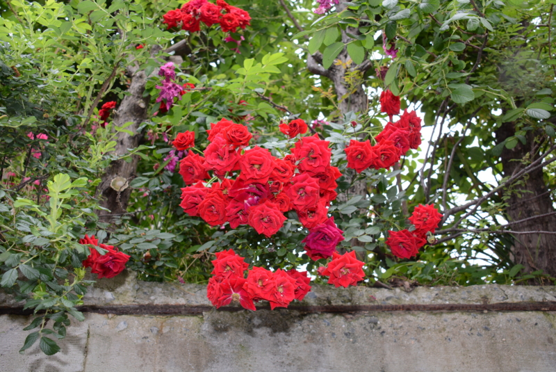 f:id:rotling:20140527063040j:image