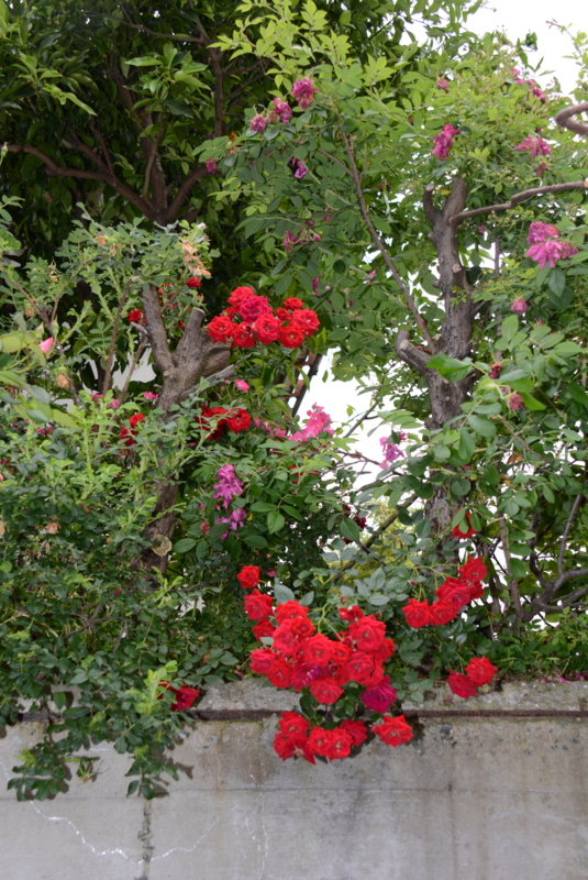 f:id:rotling:20140527063046j:image