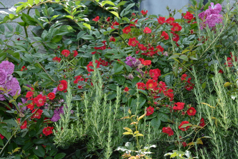 f:id:rotling:20140529113022j:image