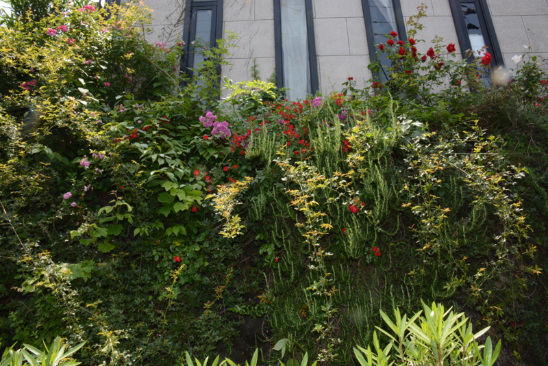 f:id:rotling:20140529113029j:image