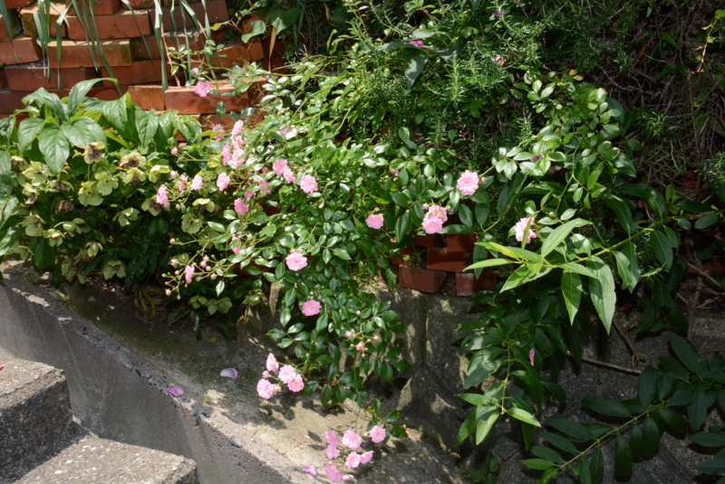 f:id:rotling:20140529113131j:image