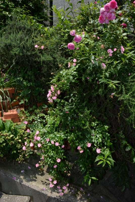 f:id:rotling:20140529113134j:image