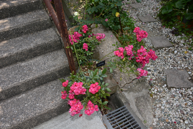 f:id:rotling:20140529142949j:image