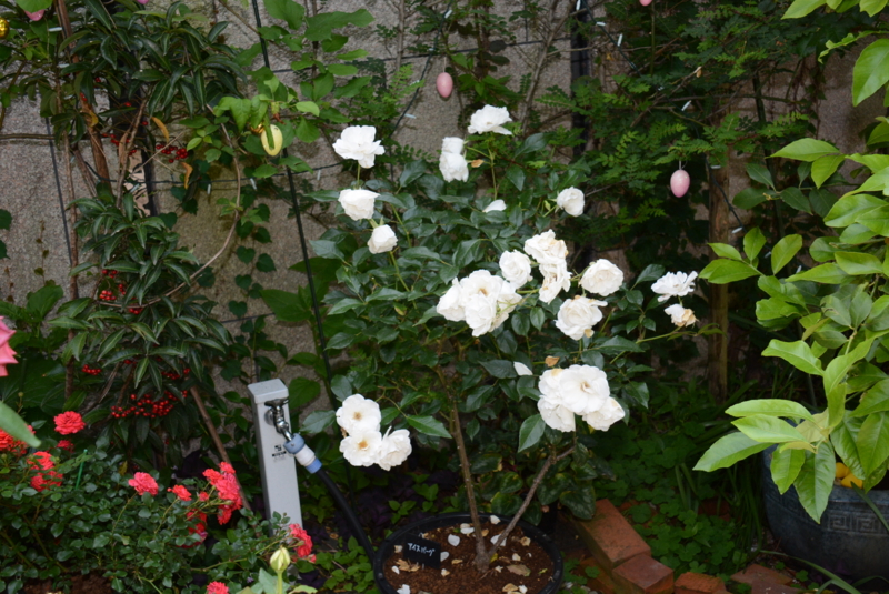 f:id:rotling:20140529143015j:image